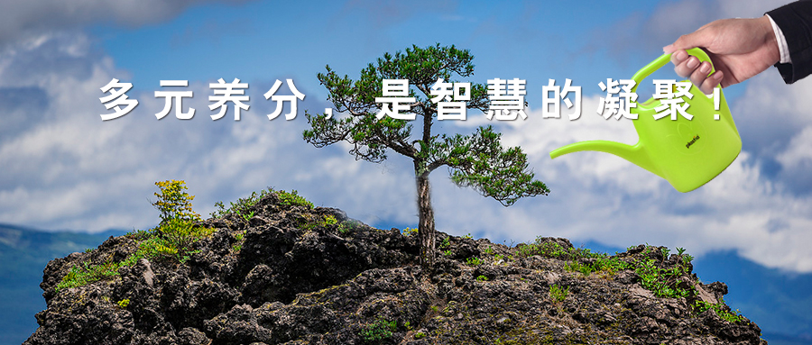 標桿實錄 西鄉易尚國際成長記之團隊打造.jpg